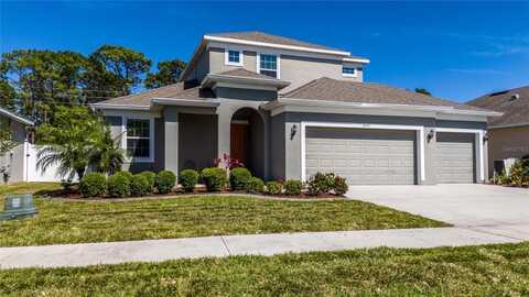 3002 BETHPAGE LOOP, MOUNT DORA, FL 32757