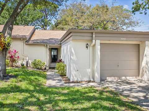 3203 GREEN DOLPHIN STREET, TARPON SPRINGS, FL 34689