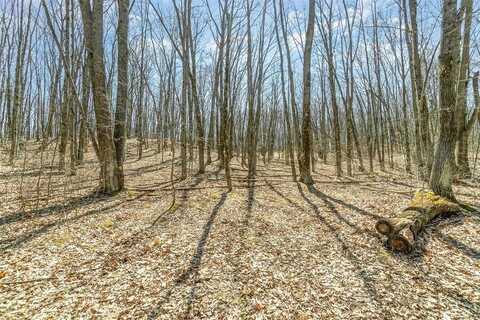 10.1 Acres Nancy Ann, Gladwin, MI 48624