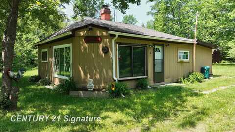 6002 Wildwood, Alger, MI 48610
