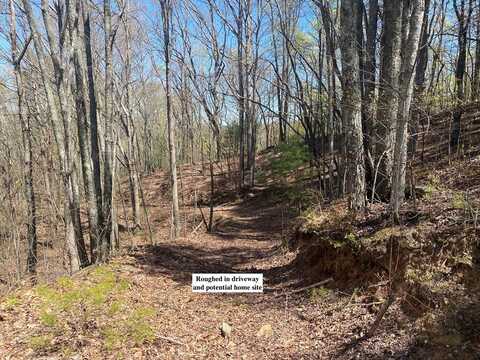 Lot 57 Majestic View Run, MURPHY, NC 28906