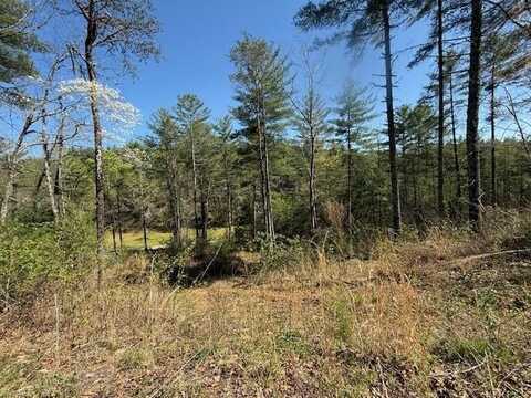 Lt 29A&B Cabernet Way, MURPHY, NC 28906