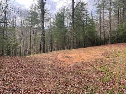 2035 Lower Tuskeegee Road, ROBBINSVILLE, NC 28771