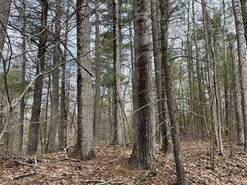 Lot 1 Monson Turnpike Road, Ware, MA 01082