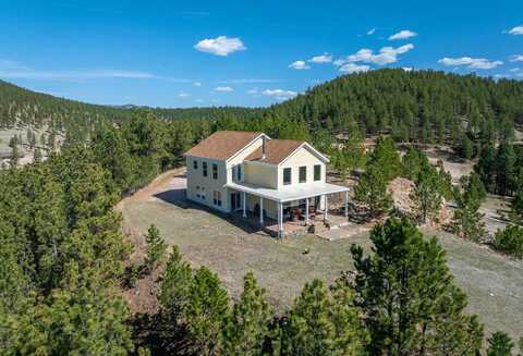 11583 Pay Dirt Pass, Custer, SD 57730