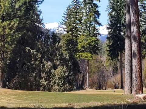12 Golf View Drive, Seeley Lake, MT 59868