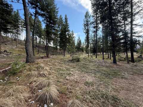 324 Whitefish Drive, Seeley Lake, MT 59868