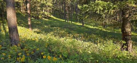 Nhn Profile Rock Drive, Alberton, MT 59820