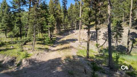 170 Leota Peak Court, Seeley Lake, MT 59868