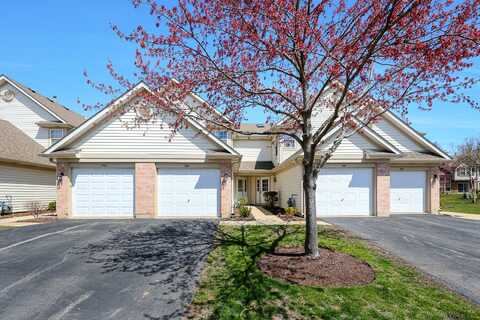 1745 Nature Court, Schaumburg, IL 60193