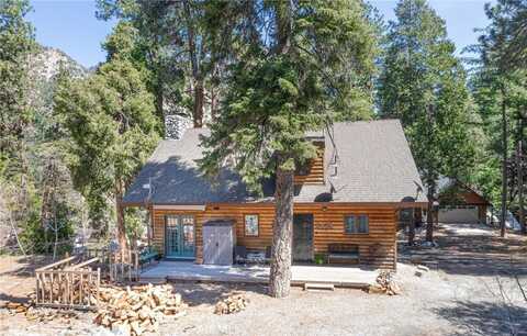 9408 Mill Drive, Forest Falls, CA 92339
