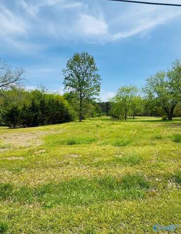 351 Rabbittown Road, Albertville, AL 35950