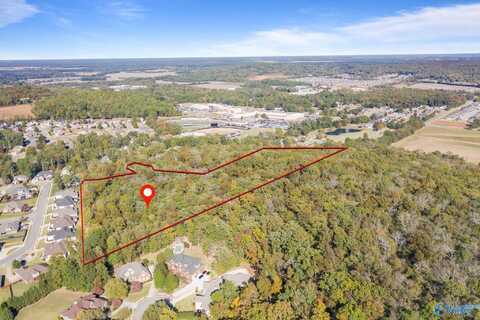 11.33 Acres Jeff View Court, Harvest, AL 35749