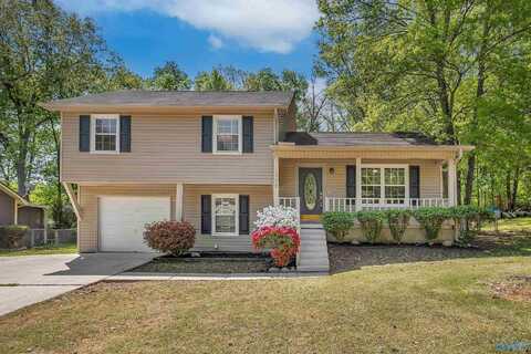 1002 Vicksburg Lane SE, Huntsville, AL 35803