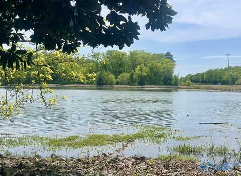 81 Shoreline Circle, Guntersville, AL 35976