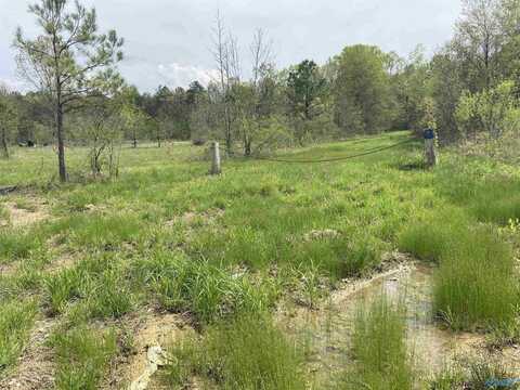 38.1 Acres Herb Collete Drive, Steele, AL 35987