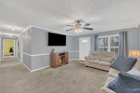28615 Old Scrouge Road, Elkmont, AL 35620