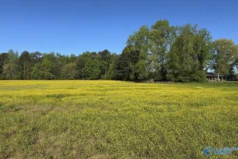 77 +/- Acres Parker Road, Athens, AL 35611