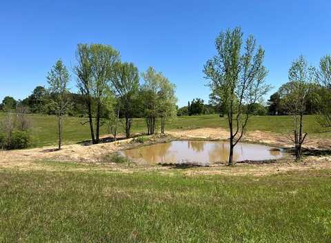 Mt. Olive Road, Tillatoba, MS 38961