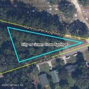 0 HARRING Street, Green Cove Springs, FL 32043