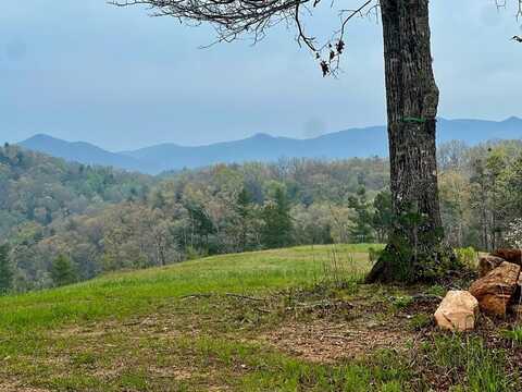 Tr 47 Majestic Mountain Trail, Murphy, NC 28906