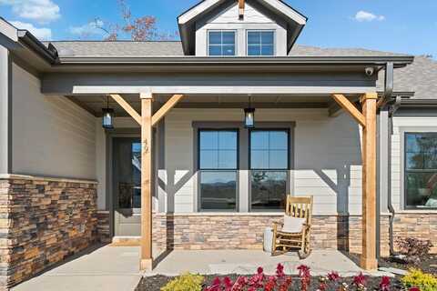 117 Pinnacle Way, Ellijay, GA 30540