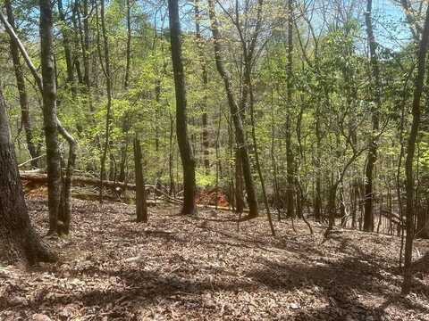 Lt1944 Palmetto Drive, Ellijay, GA 30540