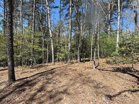 Lot 2 Lynae Lane, Murphy, NC 28906