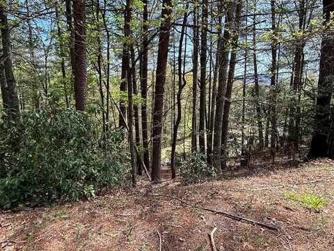 Lt699 Choctaw Drive, Ellijay, GA 30540