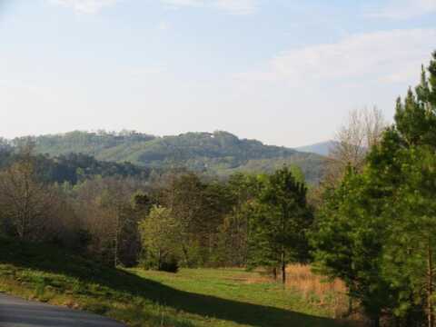 76 Water Oak Lane, Blairsville, GA 30512