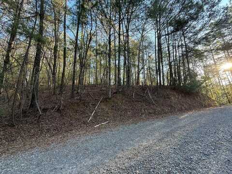 L3675r Fern Drive, Ellijay, GA 30540