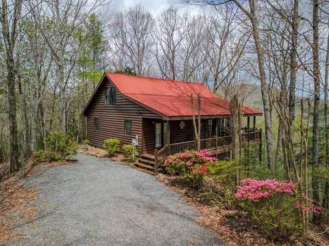 507 Bushy Head Road, Cherry Log, GA 30522