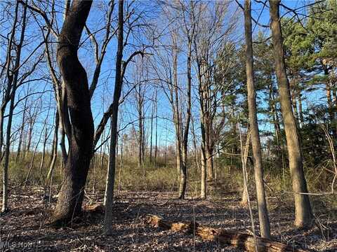 10444 Mulberry Road, Chardon, OH 44024