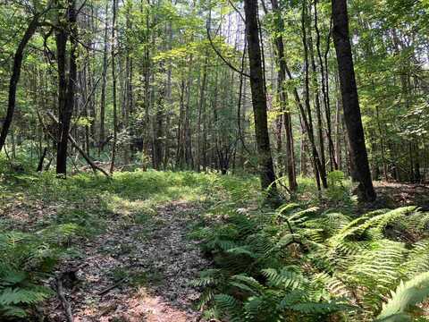 Slab City Road, Claremont, NH 03743