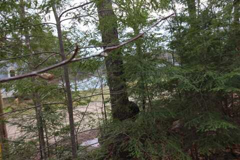 Lot 19-17 Northeast Pond Road, Milton, NH 03851