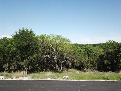 163 Hanna Oak Court, Bridgeport, TX 76426