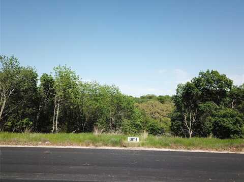 149 Hanna Oak Court, Bridgeport, TX 76426