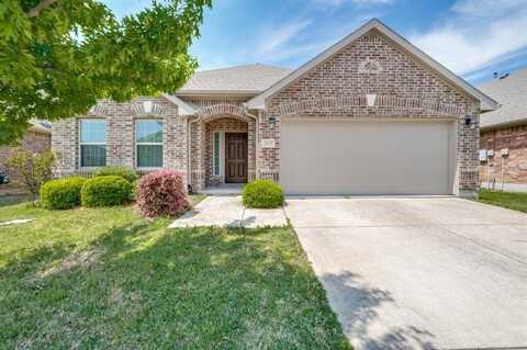 2808 Castle Creek Drive, Little Elm, TX 75068