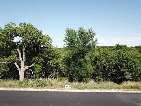 157 Hanna Oak Court, Bridgeport, TX 76426