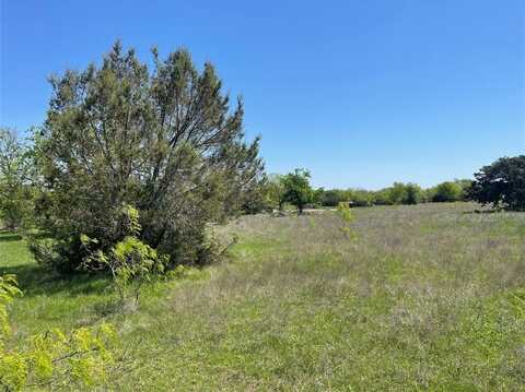 Tbd Lot 12 E Lumpkin Street, Meridian, TX 76665