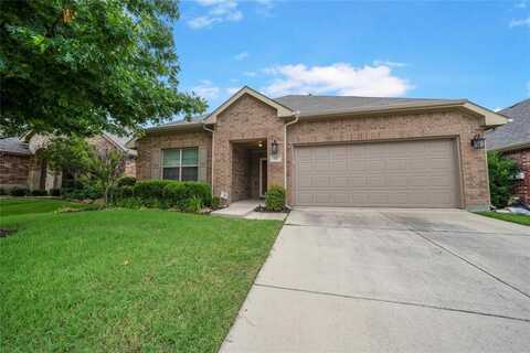 717 Hawk Valley Drive, Little Elm, TX 75068