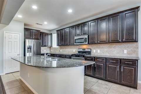 1729 Shoebill Drive, Little Elm, TX 75068