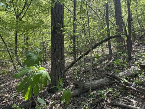 0 Hide Away Drive, Guntersville, AL 35976