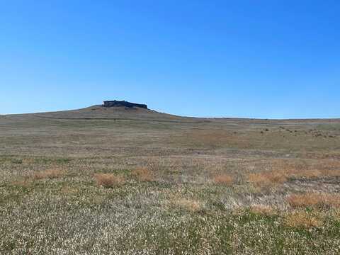 Cheyenne County CRP and Grass, Potter, NE 69156