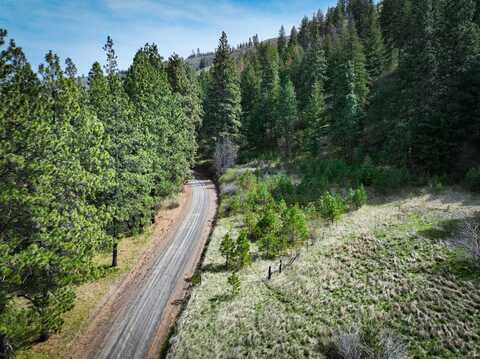S Patit Creek Wooded Lot, Dayton, WA 99328