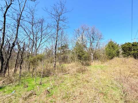 10204 Piper Ln, bistrow, VA 20136