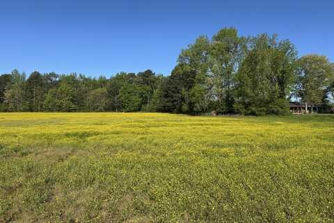 0 Parker Road, Athens, AL 35611