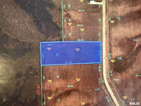 2460 Olof Krans Avenue, Galva, IL 61434