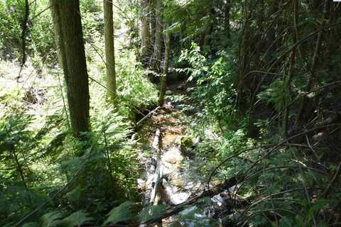1555 Comstock Mine Rd, Colville, WA 99114