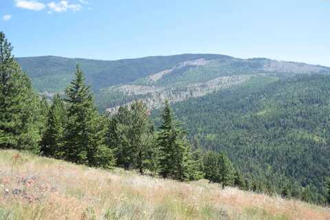 1555 Comstock Mine Rd, Colville, WA 99114